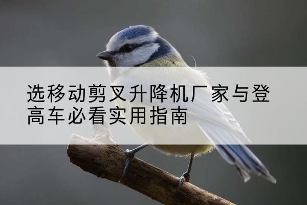 千山电动升降机厂家-选移动剪叉升降机厂家与登高车必看实用指南