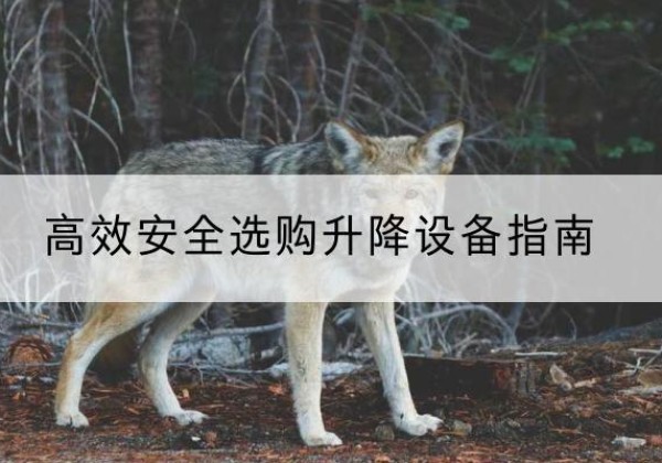 千山升降货梯厂家推荐-*安全选购升降设备指南